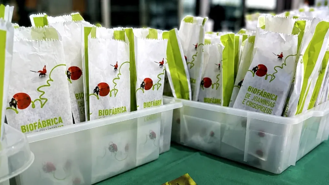 Brinde grátis: Brinde Grátis Prefeitura de BH: Kits de Joaninhas para Proteger suas Plantas