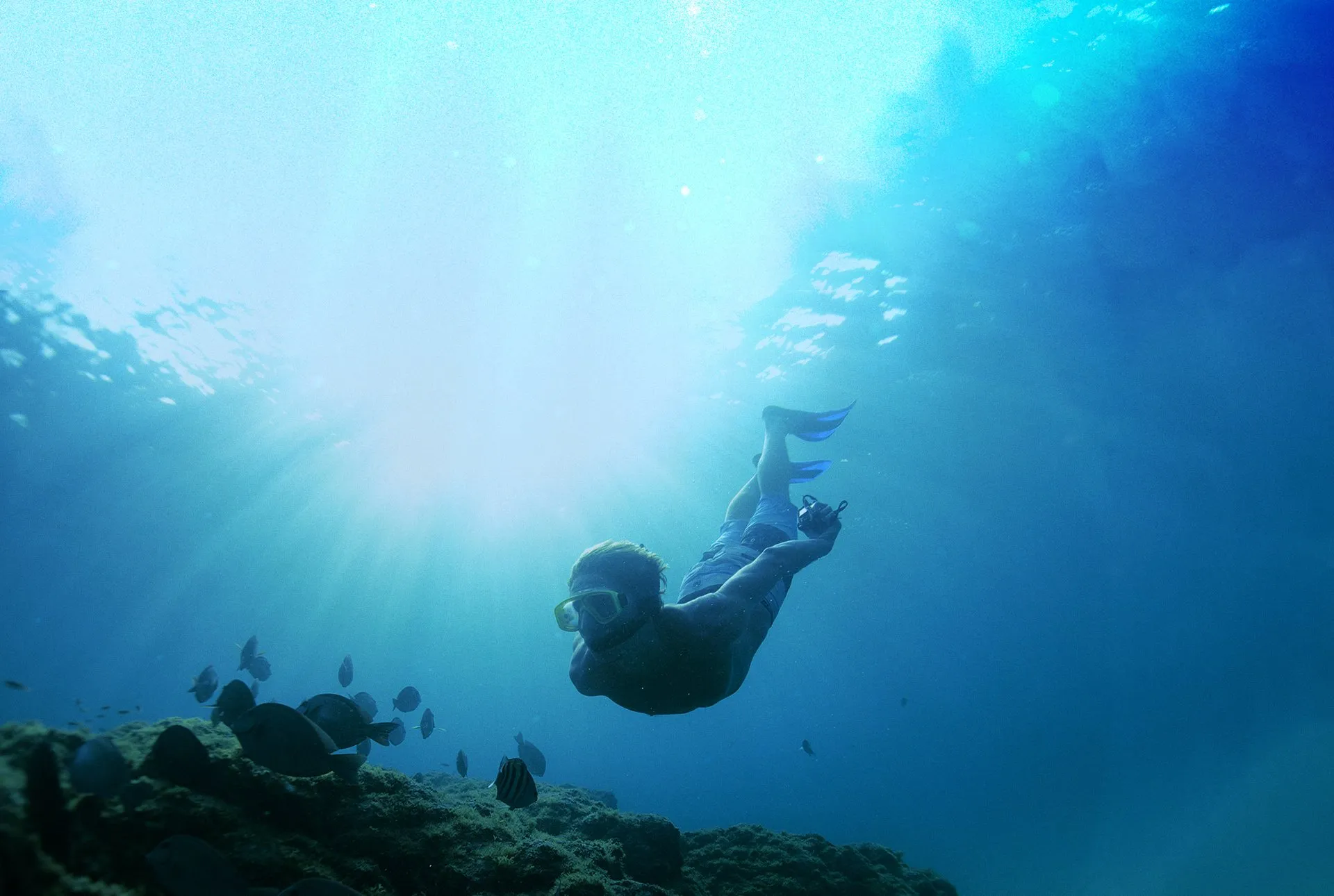 Onda quebrando no mar aberto, imagem da campanha Frase Azul da Oceano
