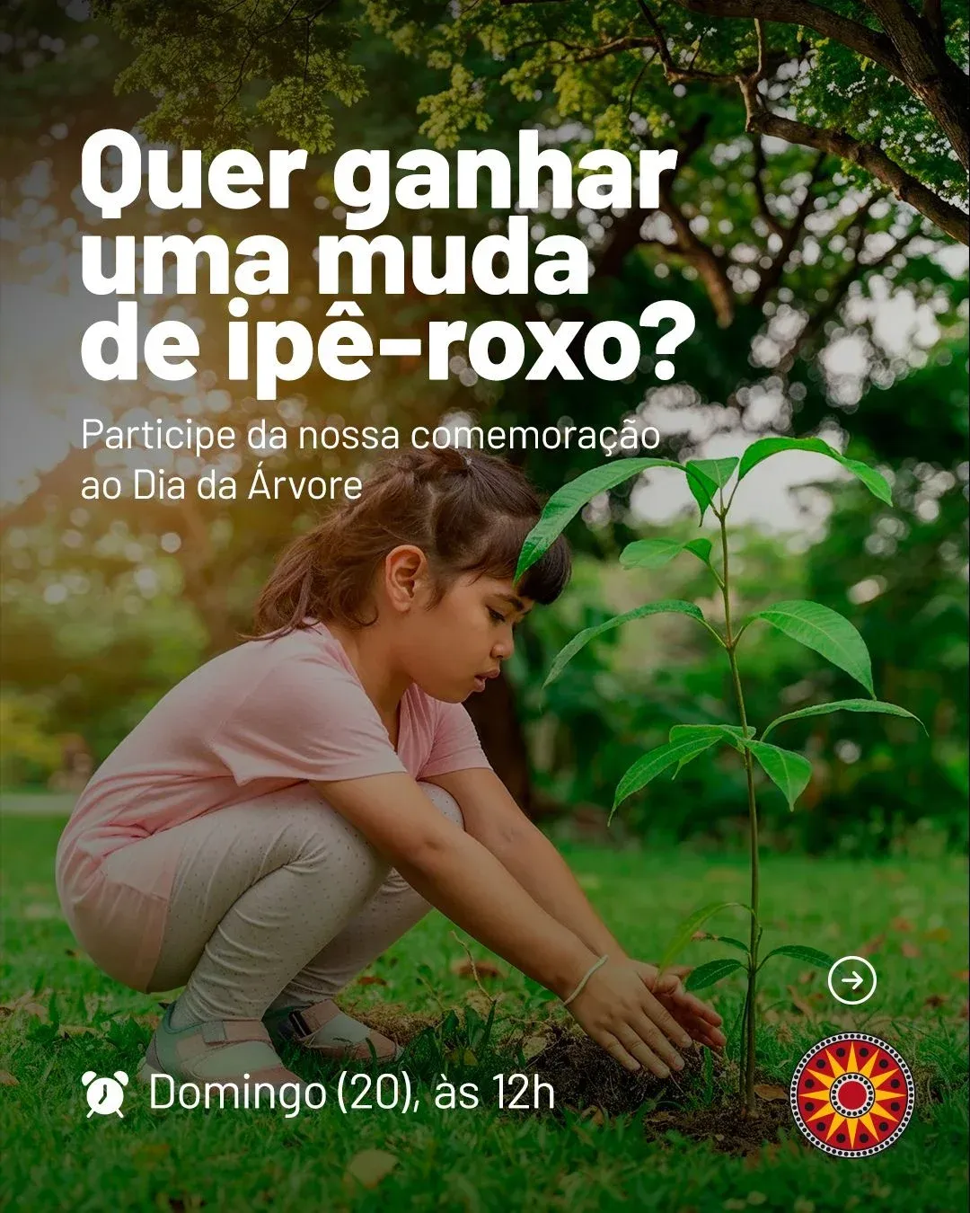 Cartaz da ação com uma menina plantando uma muda e a chamada para ganhar um ipê-roxo no domingo, dia 20, às 12h